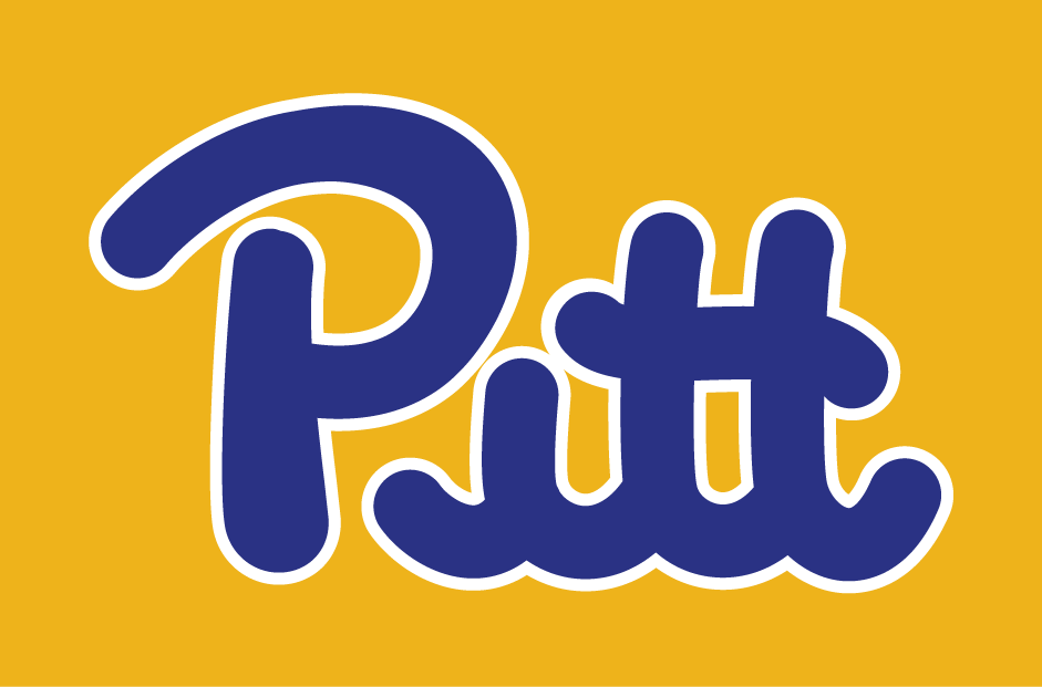 Pittsburgh Panthers 1973-1996 Wordmark Logo iron on transfers for T-shirts
